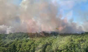 2022’nin en yıkıcı doğal afetleri raporlandı