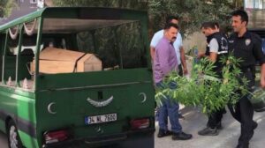 25 yaşındaki gencin cesedi kenevir yetiştirilen evde bulundu