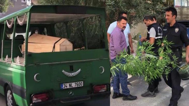 25 yaşındaki gencin cesedi kenevir yetiştirilen evde bulundu