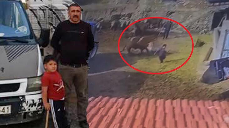 8 yaşındaki oğlunu boğa saldırısından kurtardı!