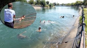 Adana’da yazın kanalda serinliğin acı bilançosu: 28 ölü