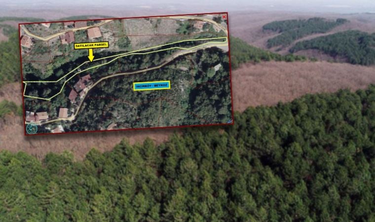 AKP’li Beykoz Belediyesi ‘Gelirler giderleri karşılamıyor’ dedi, ağaçlandırılacak alanı satışa çıkardı