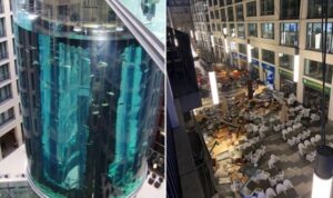Almanya’da dev akvaryum patladı ortalık savaş alanına döndü