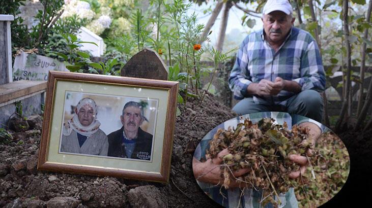 Annesinin kaybolan altın dişlerini arıyor! Getirene 2 ton fındık verecek