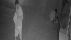 Antalya’da bir garip olay! Poşetle gelip yavru kedileri alıp gidiyor