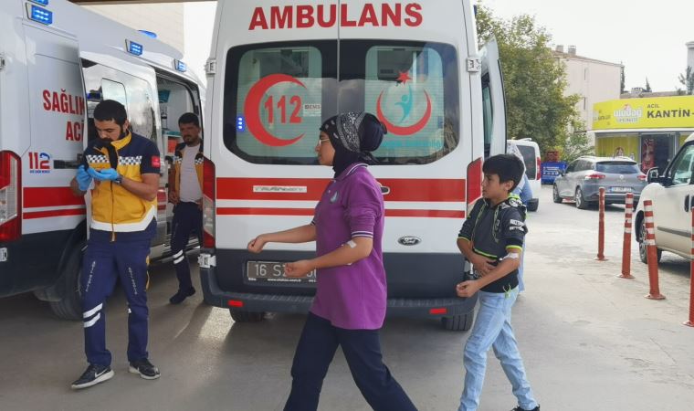 Arılar 15 öğrenciyi soktu; okul tatil edildi