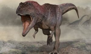 Arjantin’de büyük kafalı ama küçük kollu yeni bir dinozor keşfedildi