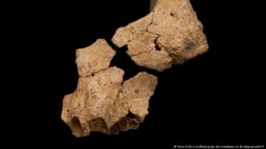 Atapuerca’da “ilk Avrupalı’ya” ait kalıntılar bulundu