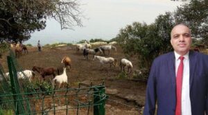 Atların kaybolduğunu ortaya çıkaran müdüre ihraç talebi reddedildi