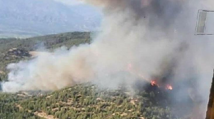 Aydın’da orman yangını! 30 hektarlık alan zarar gördü