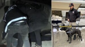 Bakan Soylu, ‘en yüksek miktar’ diyerek duyurmuştu! Operasyonun detayları ortaya çıktı