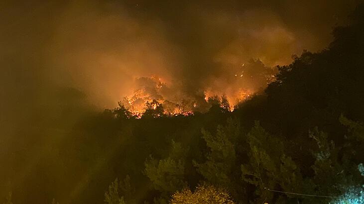 Bartın’daki orman yangnında 4 kişi gözaltına alındı