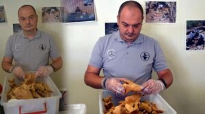 Bathonea’da bir keşif daha