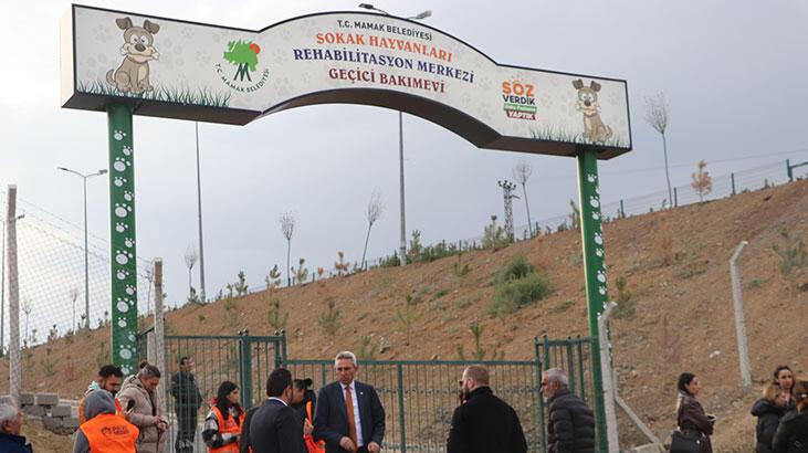Belediye aracında kanlar içindeki köpekler hayvanseverleri isyan ettirdi