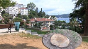 Beşiktaş Ayazma Parkı’nda tartışmalı ağaç kesimi