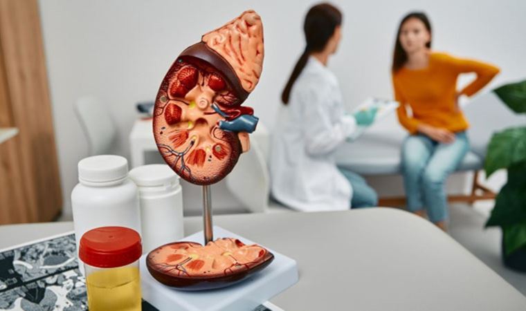 Böbrek tümörlerinde ‘erken tanı’ hayat kurtarıyor