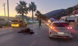 Bodrum’da acı kaza: Otomobilin çarptığı at öldü