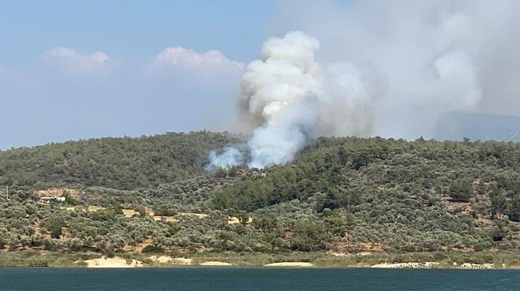 Bodrum’da ormanlık alanda yangın! Müdahale devam ediyor