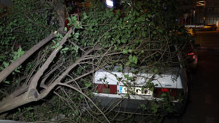 Bursa’da lodos! Devrilen ağaç otomobilin üzerine düştü