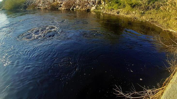 Büyük Menderes Nehri çöplüğe döndü! Suyun rengi siyaha büründü