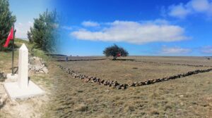 Büyük Taarruz’un kayıp şehitleri