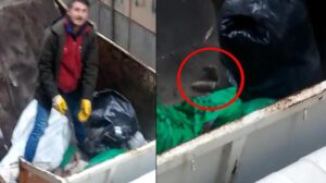Canlı köpeğin üzerine moloz dökülmesine çifte soruşturma