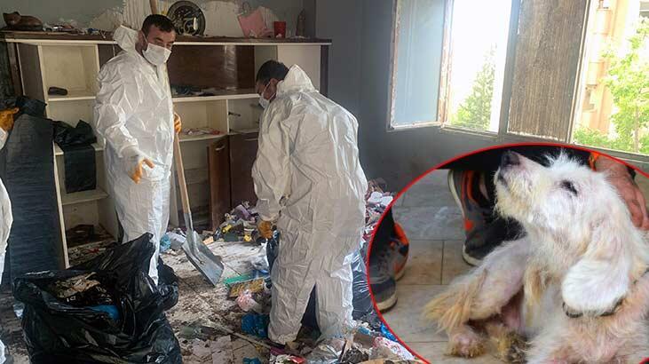 ‘Çöp ev’den kaçtı, veterinere sığındı! ‘Sadece ekmekle beslenmiş, dışarı çıkarılmamış’