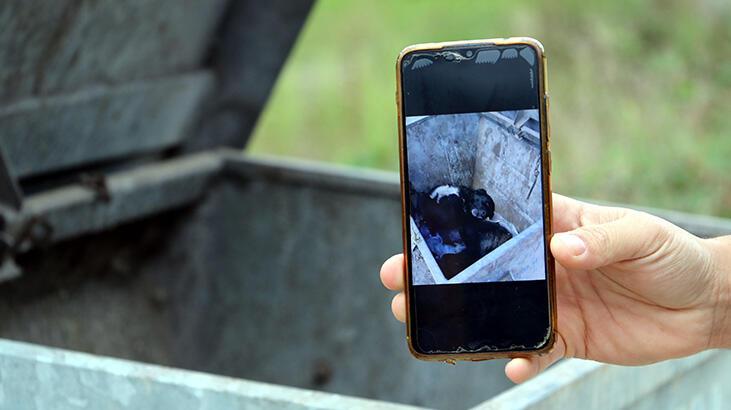 Çöp konteynerine atılıp ölüme terk edildi! Okula giden öğrenciler buldu