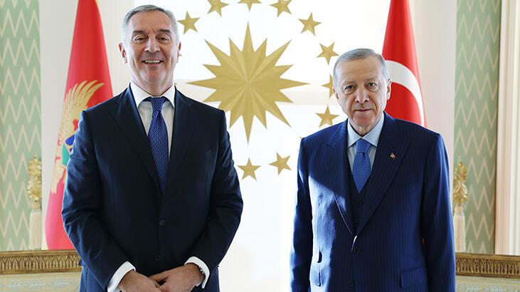 Cumhurbaşkanı Erdoğan, Djukanovic​​​​​​​ ile görüştü