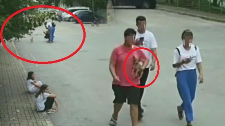Değeri 20 bin lira! Önce sevdiler, sonra götürdüler