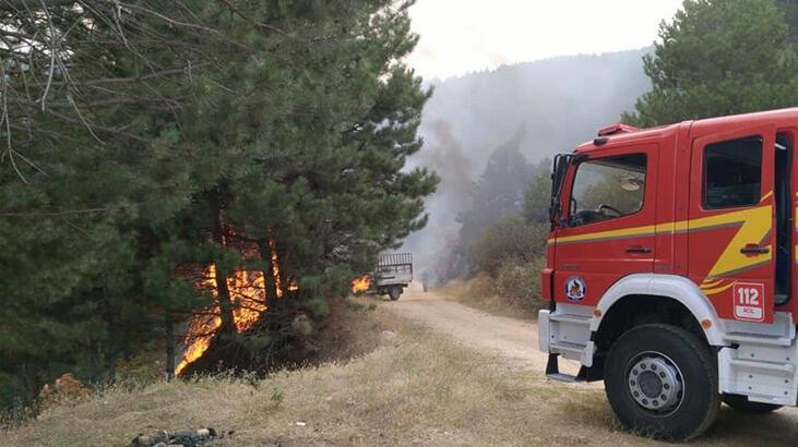Denizli’de orman yangını büyümeden söndürüldü
