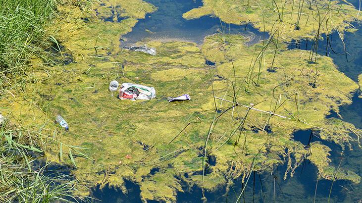 Dereye atılan çöpler, balıkları öldürüyor