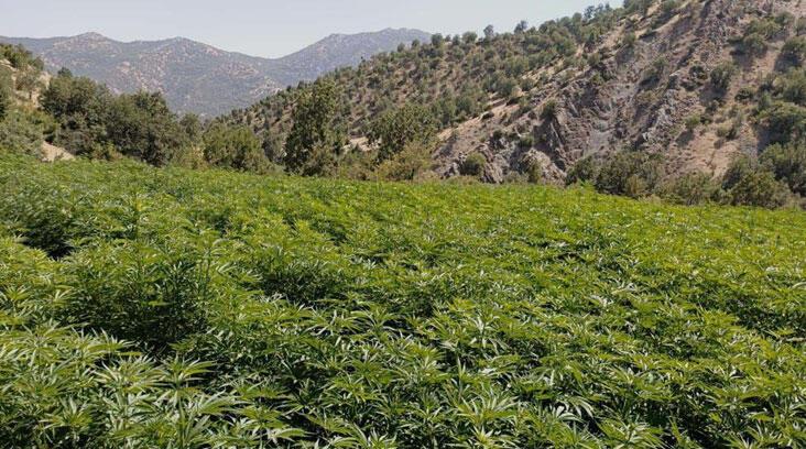 Diyarbakır’da terörün finansman kaynağı ablukada