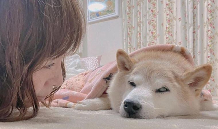 Dogecoin’in simgesiydi… Kansere yakalandı