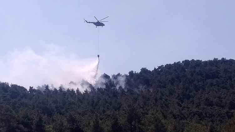 Düşen yıldırım yangın çıkardı! 2 hektar orman zarar gördü