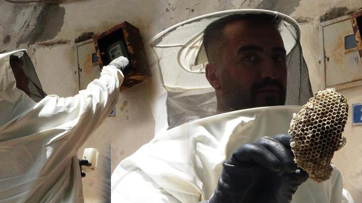 Ekiplerin başı arılarla dertte! Hepsini tek tek temizliyorlar