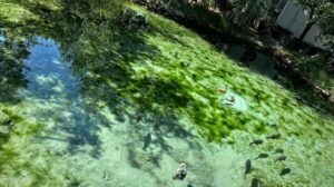 Elazığ’ın saklı cenneti Dipsiz Göl