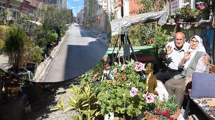 Eşi, kendisi için kaldırımı bahçeye çevirmişti; iyileşme başladı