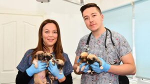 Eskişehir’de çuvalda bulunan yavru köpekler korumaya alındı