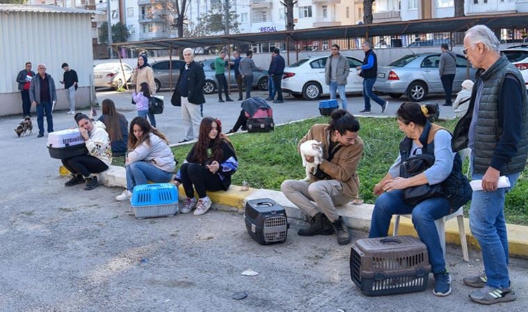 Evcil hayvan sahiplerinin ‘çip taktırma’ sırası: Saatlerce beklediler