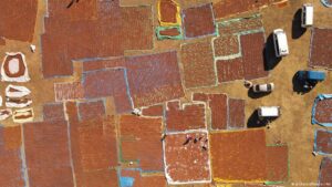 Fındıkta gözler “rekor” fiyatta