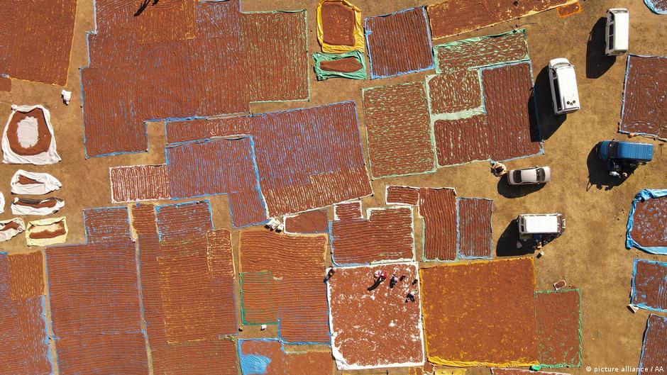 Fındıkta gözler “rekor” fiyatta