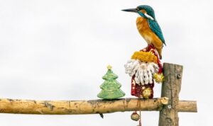 Görüntülemek için 5 saat beklediler: Yılbaşı sürprizi ‘yalıçapkını’