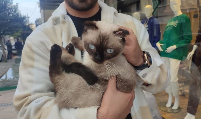 Güngören’de 3. kattan düşen kediyi havada yakaladı