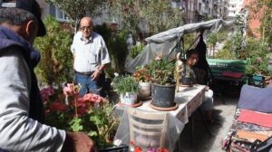 Hasta eşi için kaldırımı bahçeye çevirmişti, belediye de destek verdi