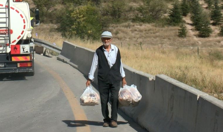 Hayvanlar için her gün 15 kilometre yol gidiyor