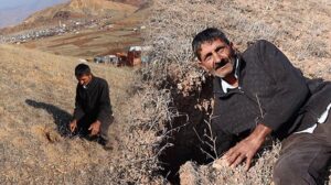Heyelan sonrası oluşup, Göle depremiyle de derinleşen yarıklar korkutuyor