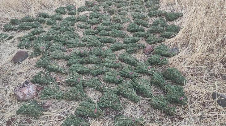 İçişleri Bakanlığı: Diyarbakır’da 596 kilo esrar ele geçirildi ​