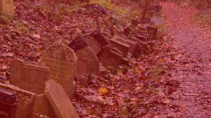 İki arkadaşın kan donduran planı! Mezardaki cesetler bitince öldürüp sattılar