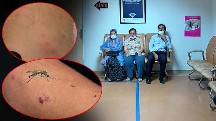 İstanbul’da ‘sivrisinek’ alarmı! Vatandaşlar hastanelere akın etti